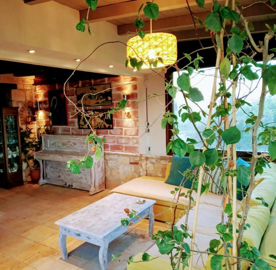 Stone House Andromeda Villa Psakoudia Dış mekan fotoğraf